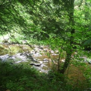 MALMEDY                    Les plus belles balades des Cantons de l'Est