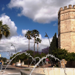 Alcazar tour octogonale ( photo : F. Detry )