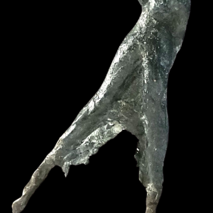 Anouk Ganzevoort - Alors on dance - Bronze