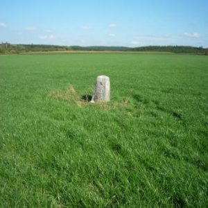  Borne - frontiere au milieu des champs ( cote Hachiville - GD Luxembourg )