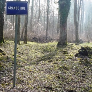 Bezonvaux : les rues du village ( interdiction de quitter le parcours trace DANGER ! )