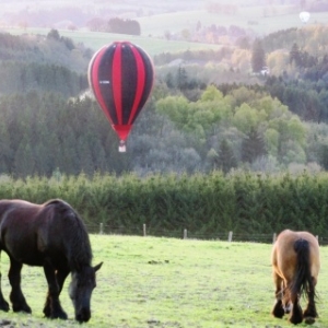 14 Des ballons et des chevaux