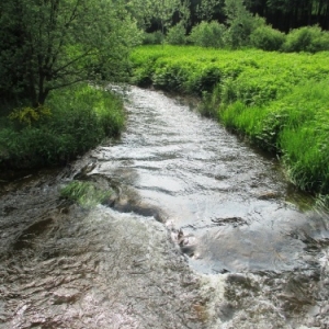 Activités proposées par Contrat de Rivière dans le cadre des Journées Wallonnes 2017             