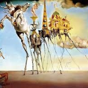 Liege De Salvador a Dali