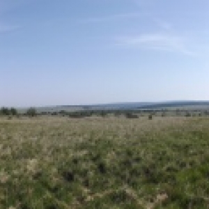 Vue generale de la Fagne wallonne ( photo de F. Detry )