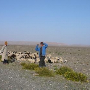 Jeunes bergers sur la route de Toundout 