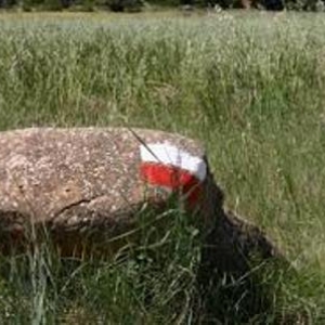 Sur le chemin à remonter le temps : Les sentiers que nous foulons ont une histoire et des historiens