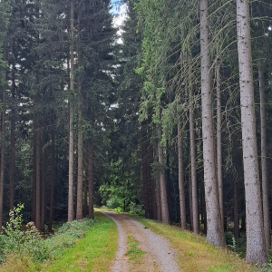 VENNTRILOGIE ETAPE 2 : EYNATTEN - EUPEN VENNTRILOGIE ETAPE 2 : EYNATTEN - EUPEN