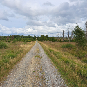 VENNTRILOGIE ETAPE 3 : EUPEN – BOTRANGE VENNTRILOGIE ETAPE 3 : EUPEN – BOTRANGE