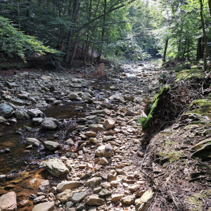 VENNTRILOGIE ETAPE 3 : EUPEN – BOTRANGE VENNTRILOGIE ETAPE 3 : EUPEN – BOTRANGE