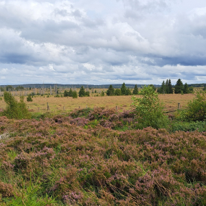 VENNTRILOGIE ETAPE 3 : EUPEN – BOTRANGE VENNTRILOGIE ETAPE 3 : EUPEN – BOTRANGE