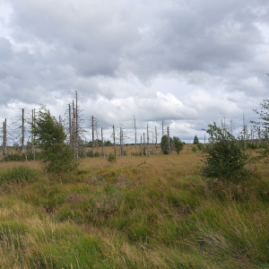 VENNTRILOGIE ETAPE 3 : EUPEN – BOTRANGE VENNTRILOGIE ETAPE 3 : EUPEN – BOTRANGE