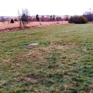 Une zone tourbeuse convertie en zone de pâturage