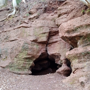 Le site de Basse - Bodeux  ( photo François Detry )