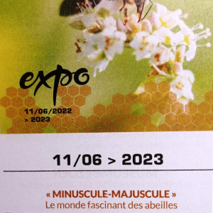 11-06 à 2023  Le monde fascinant des abeilles ...