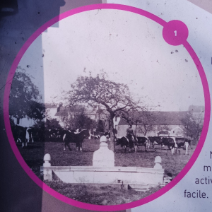 La fontaine dans la ferme Rogister