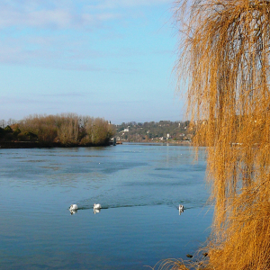 La Frette sur Seine ( photo : F Detry ) La Frette sur Seine ( photo : F Detry )