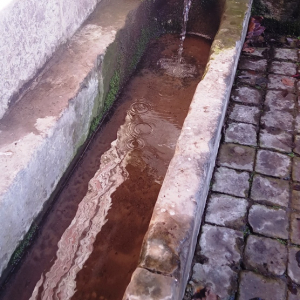 Le bac de pierre de la fontaine du Bougnoux ( destiné au rinçage