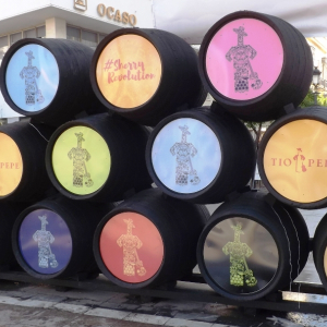 Quelques vins de Jerez  ( photo : F. Detry )