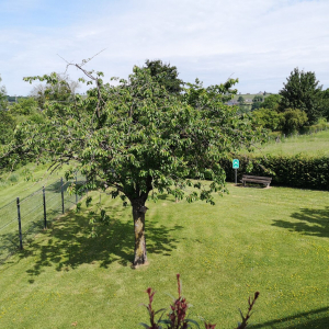 SAJA « Le BAILOU rez-de-chaussée SAJA « Le BAILOU rez-de-chaussée