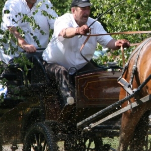 Fete du cheval de trait, Hargnies