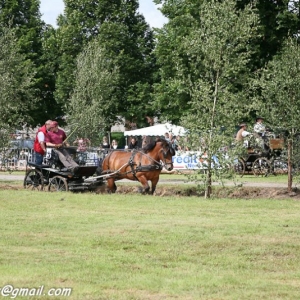 Fete du cheval, Hargnies