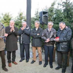 Foret de sapins namurois a Oostduinkerke, Coxyde