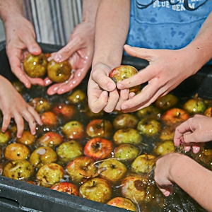 Jus de pommes Gedinne Ecolo