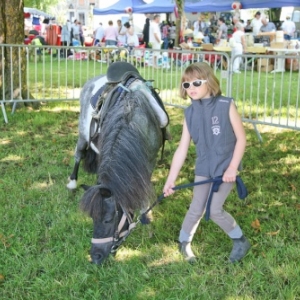 Fete du cheval de trait, Hargnies