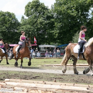 Fete du cheval, Hargnies