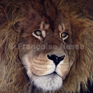 Artiste animaliere: Francoise Nesse