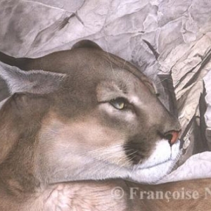 Artiste animaliere: Francoise Nesse