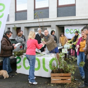 Petits fruits, grands effets et haie pare-congere