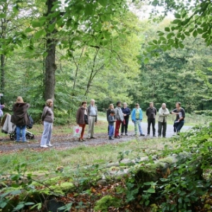 Gedinne Ecolo balades: foret, biodiversite et changements climatiques