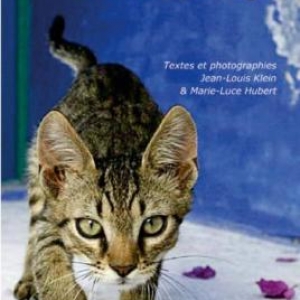 Mon chat, un fauve ? de JL Klein & ML Hubert  Editions Hugo&Cie.