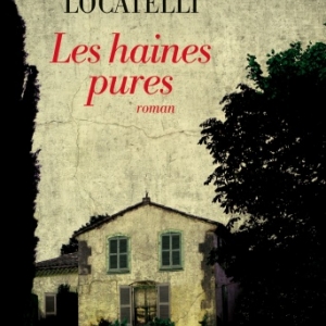 Les haines pures de Emma Locatelli  Editions Albin Michel.