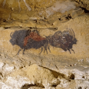 Exposition LASCAUX :