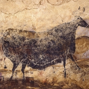 Exposition LASCAUX :