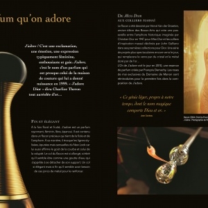 Dior for ever de Catherine Ormen – Editions Larousse.