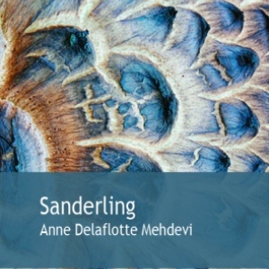 Sanderling  de Anne Delaflotte Mehdevi  Editions Gaia.