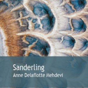 Sanderling de Anne Delaflotte Mehdevi  Editions Gaia.