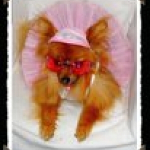 lady pour presente la robe louisdog ,casquette strass et les lunettes