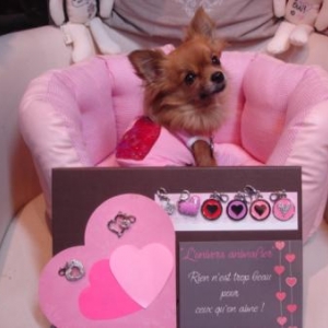 Lola offre a ses copains et copines un petit coeur pour la st valentin