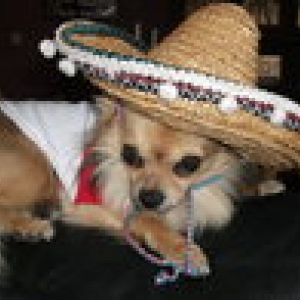 noa superbe avec son chapeau mexicain