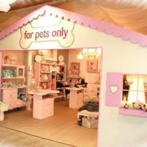 notre boutique For Pets Only vous accueille avec plus de 2000 articles de stock !