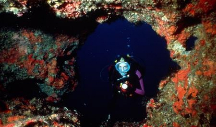 Underwater Diving - (c) Malta Tourism Authority