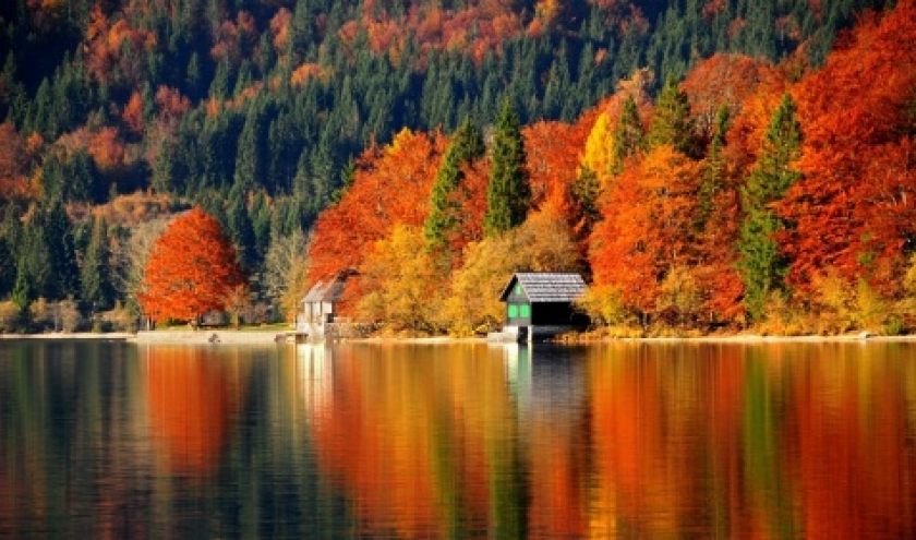 Quand l'automne slovène se pare d'orange. Moment idéal pour y aller.