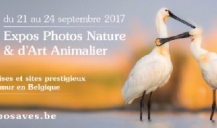 Expos Photos Nature d' "AVES", à Namur, du 21 au 24 Septembre