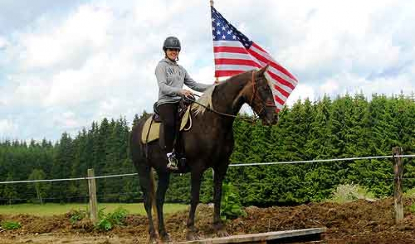 Elevage de Rocky Mountain Horse