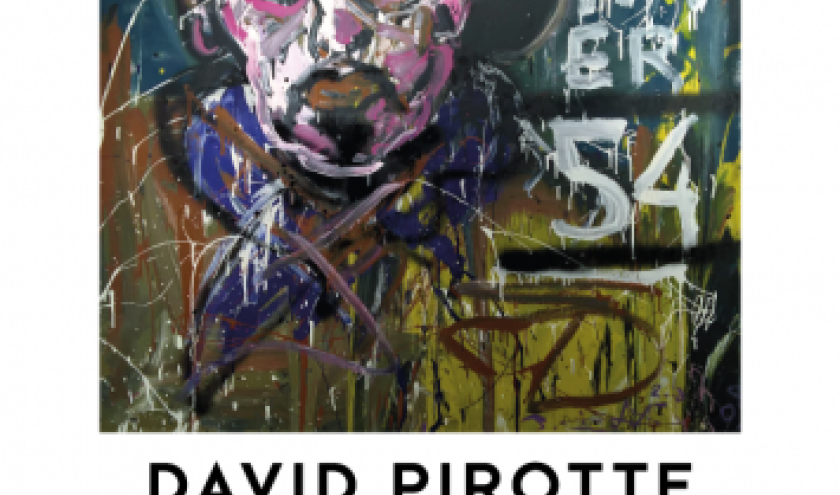 David Pirotte Artiste 